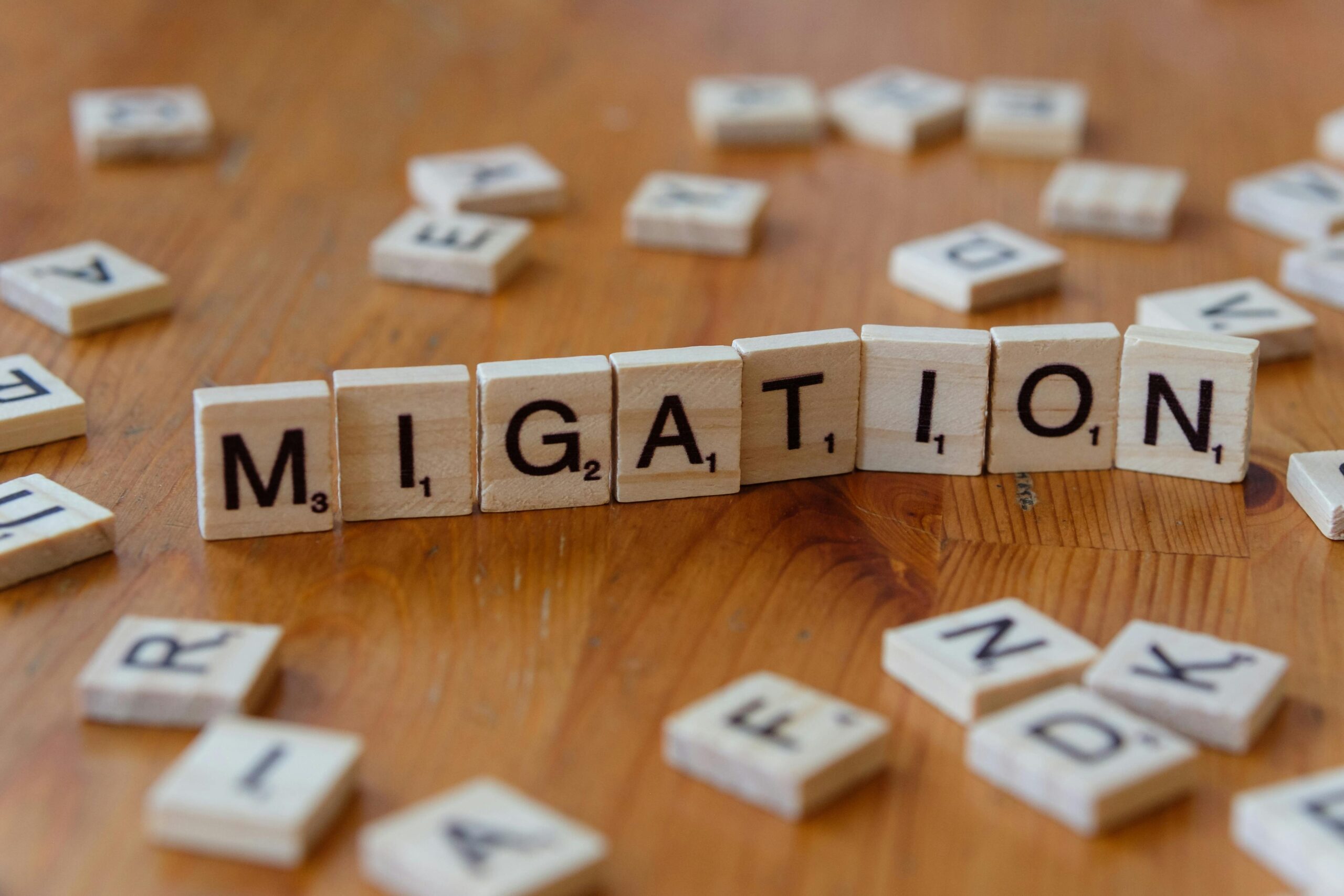 FCL vs LCL vs Groupage: Which International Moving Option Is Best From Toronto?